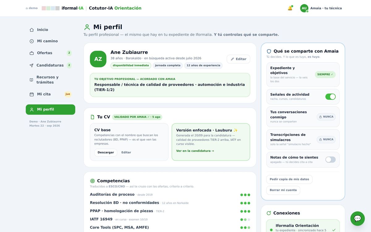 Ejemplo del producto — el perfil con sus competencias evaluadas y su origen